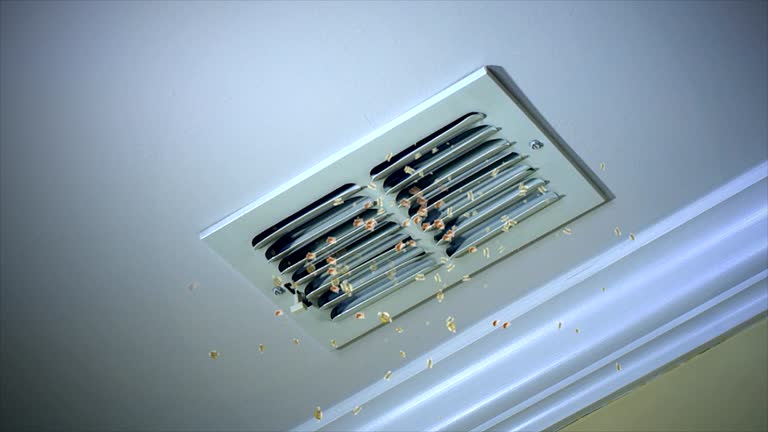 Best Dryer Vent Cleaning Services  in Mosinee, WI